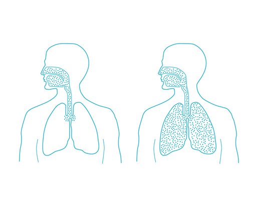 Microsalt, inhalation de sel sec